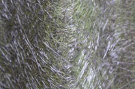 Pilning fibreglass roof work